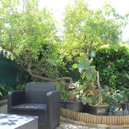 Apartment Damaky2 *